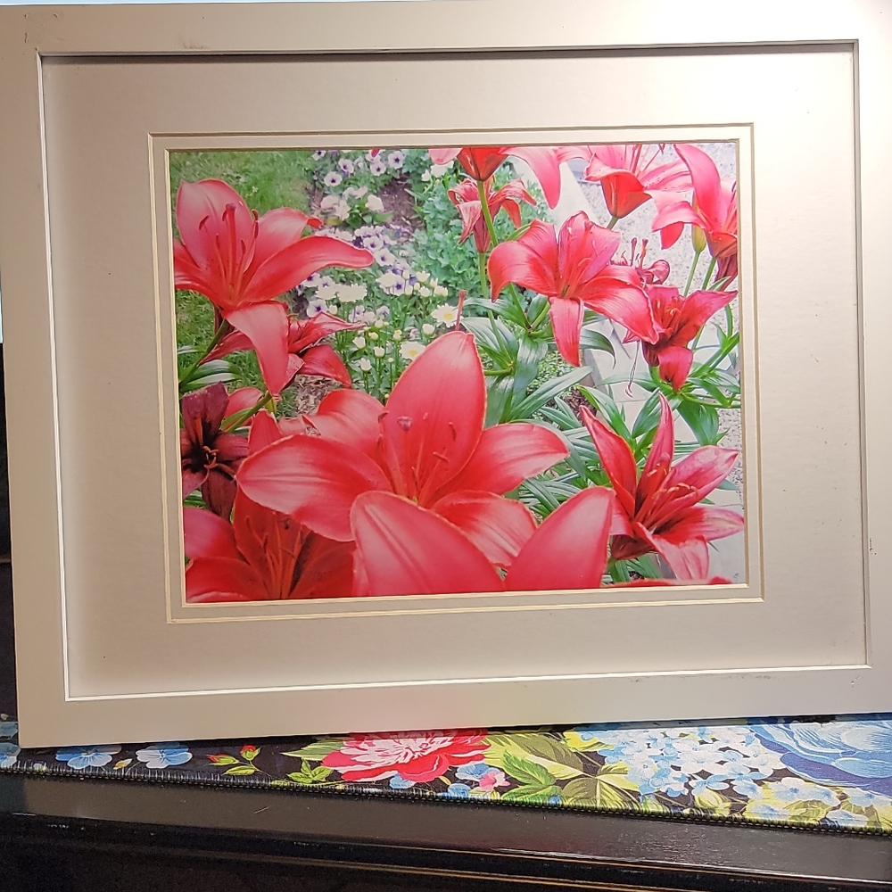 My Garden Framed Print - Picture 2 of 4